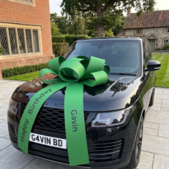 Green car bow customised personalised with names big car bonnet bow next day delivery