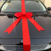 Big Red Padded Ribbon Car Bow