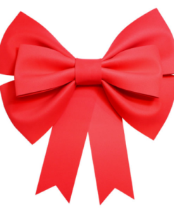 Big Red Bow Foam