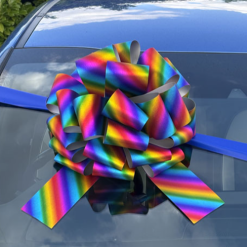 Big Rainbow Car Bonnet Bow