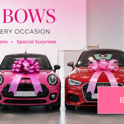 Pink Car Bows – Giant Pink Bonnet Bows for New Cars & Gifts