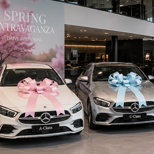 Showroom Car Bows